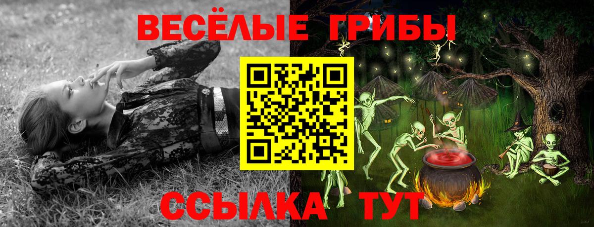 Лобня  Галлюциногенные грибы MAGIC MUSHROOMS  Вход с VPN 
