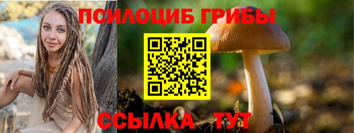 Псилоцибиновые грибы GOLDEN TEACHER Лобня